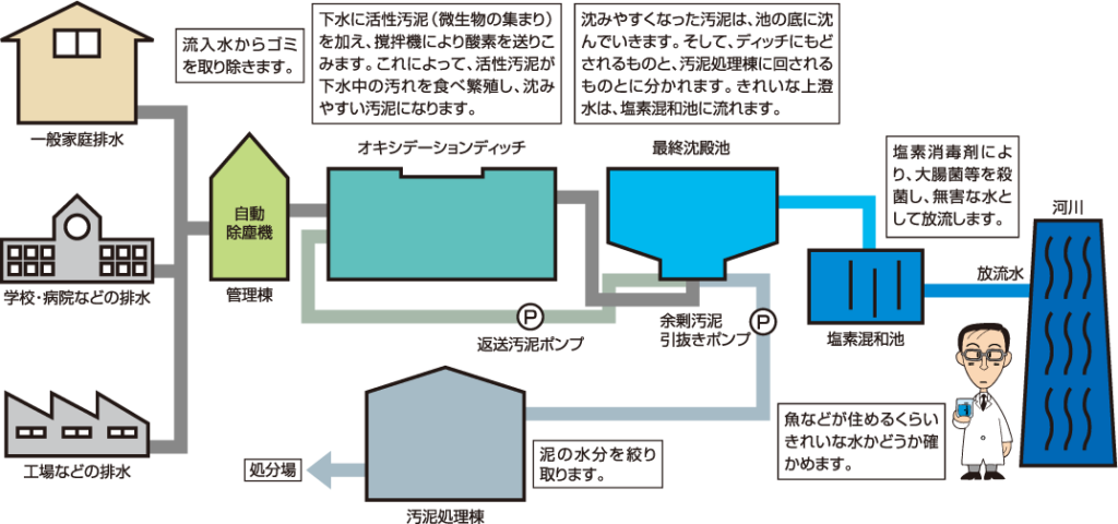 下水道の仕組み